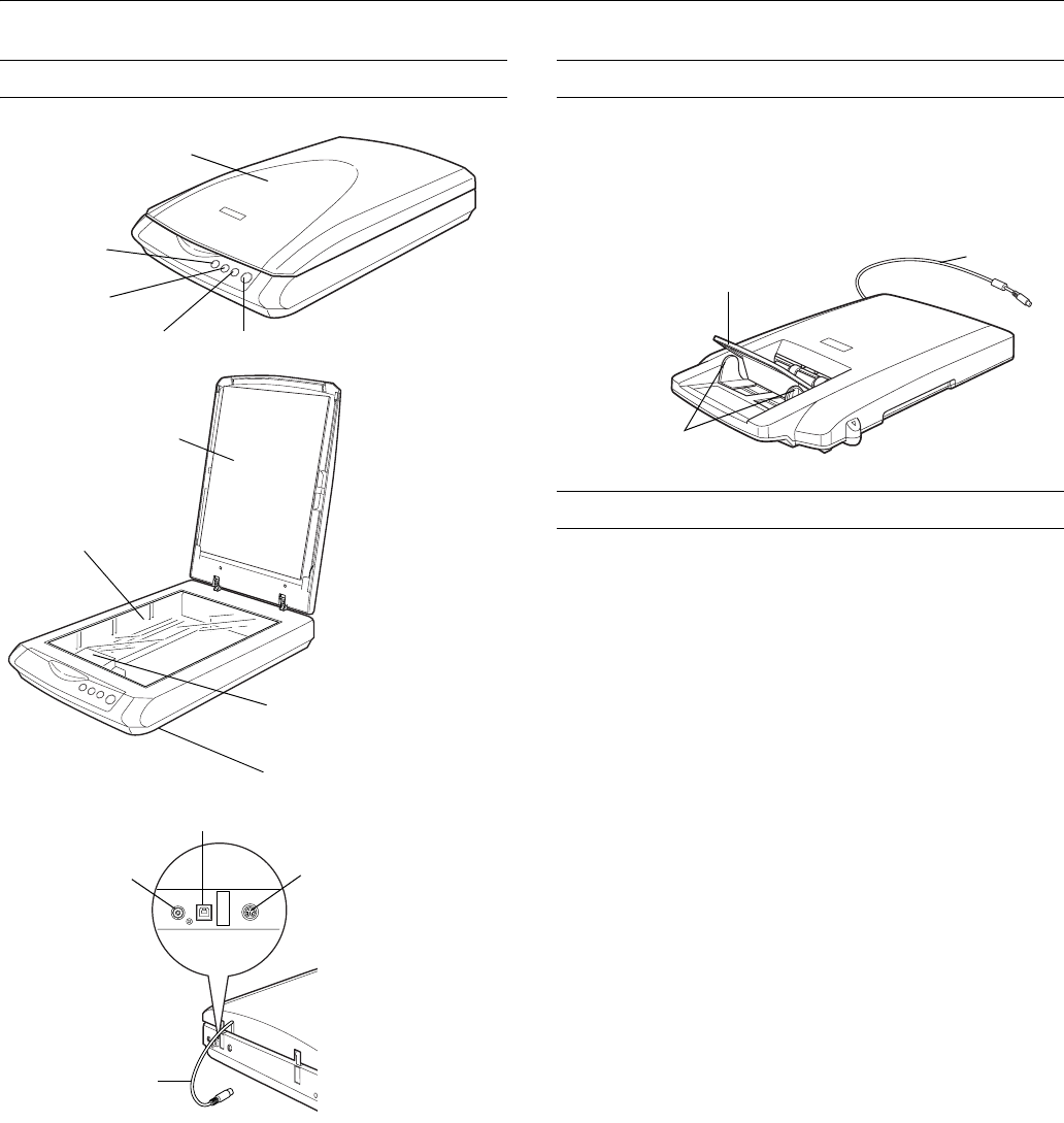 driver for epson perfection 2480 photo windows 8